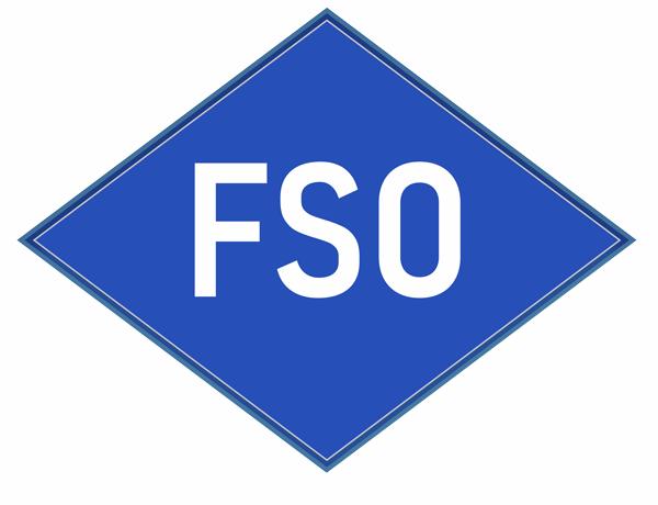 FSO Consulting.